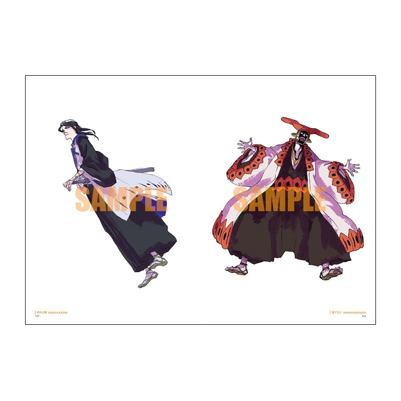 BLEACH EX. Official pictorial record THE BLACK BROCHURE | eBay