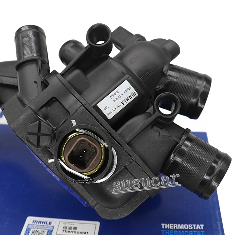 サルート/ゼウス　F75＆ノーマルショーツL　KO サルート/ゼウス F75＆ノーマルショーツL KO