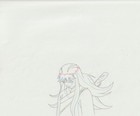 The Twelve Kingdoms Juuni Kokki Genga Douga Original Sketches Pierrot - Youko — photo 5