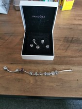 Pandora 19cm  bracelet with 14 charms