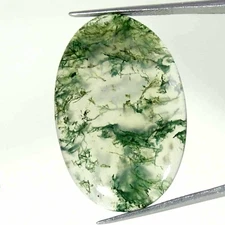 32.00Cts Natural Moss Agate Oval Cabochon loose Gemstone