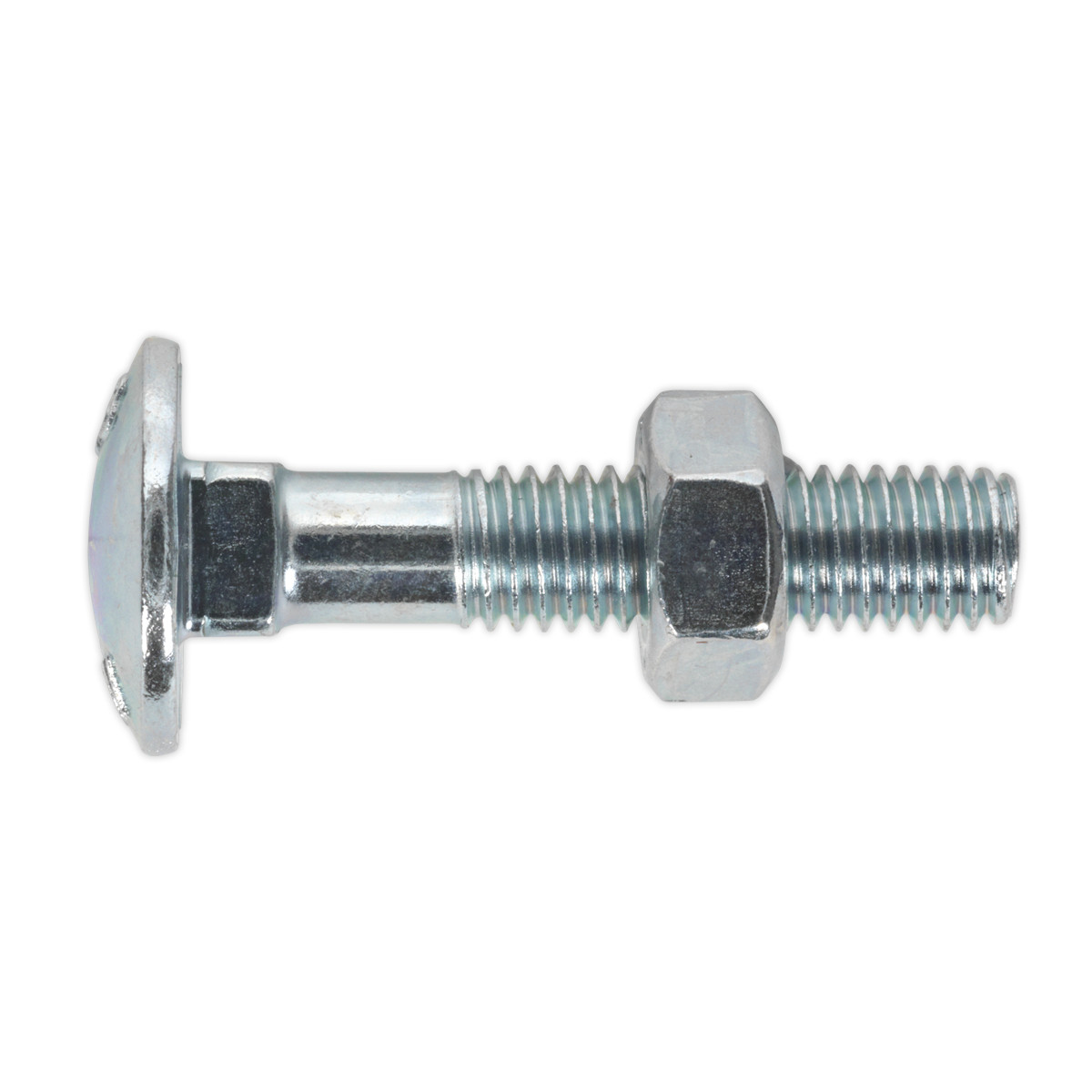 CBN840 Sealey Pack of 50 Coach Bolt & Nut Pack M8 x 40mm Zinc Plated Workshop