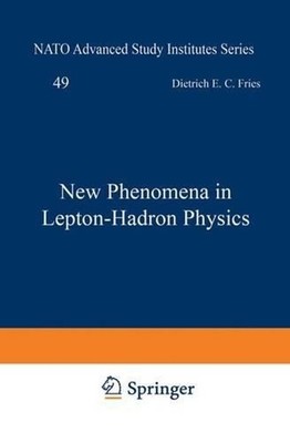 New Phenomena in Lepton-Hadron Physics by D.E. Fries (English) Paperback Book