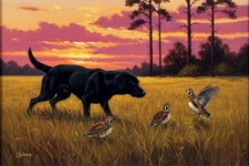 Original Oil Painting 24x16 Black Lab Quail Sunset Southern Sporting Art,Signed