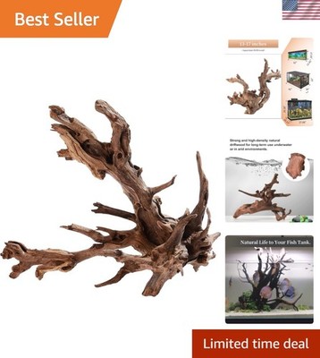 Sturdy Mopani Driftwood 13-17