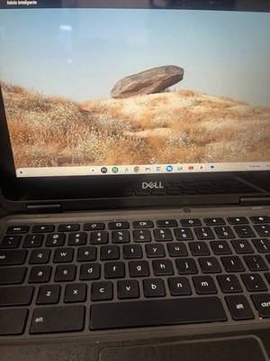 Dell Chromebook 3100 2-in-1 Touchscreen 11.6  Celeron 4GB 32GB ChromeOS Laptop