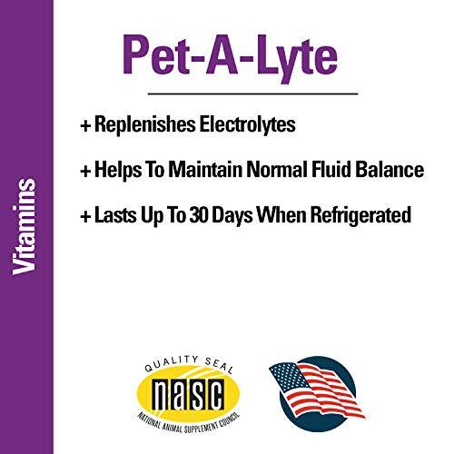 Vet Classics Pet-A-Lyte Oral Electrolyte Solution for Dogs and  Assorted Sizes 