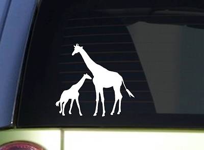 Giraffe baby giraffe *I922* 8'' Sticker safari decal