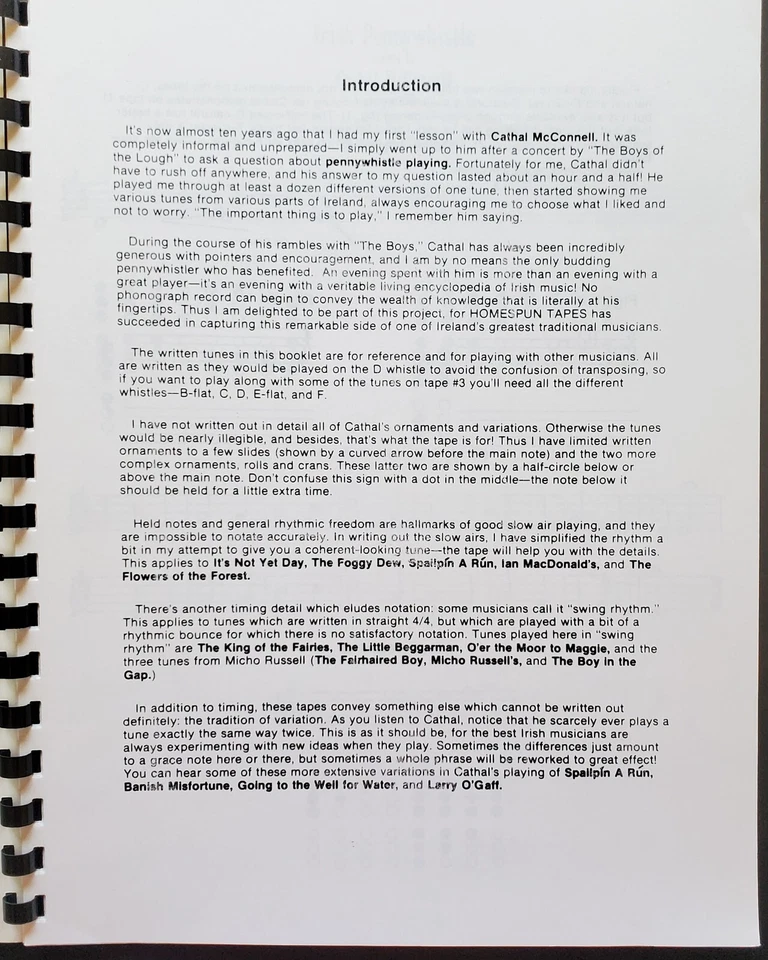 Irish Pennywhistle Lessons Songs Sheet Music Songbook - Image 2 of 4