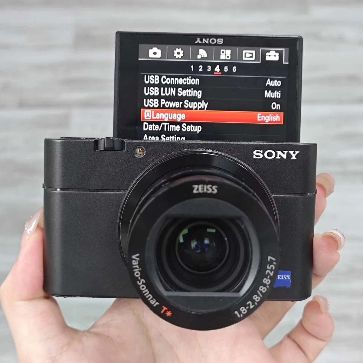 Sony Cyber-shot DSC-RX100 V Less than 3x Optical Zoom Digital