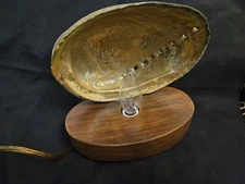 Vintage Abalone Shell Lamp Night Light Wood Base Coastal Decor Tested Works