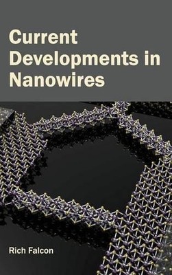 Current Developments in Nanowires (Gebundene Ausgabe)