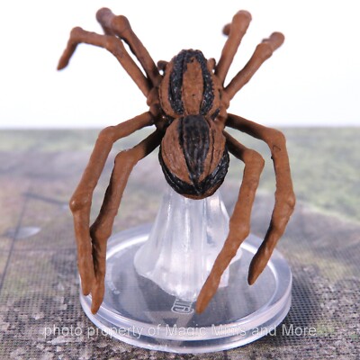 Fangs and Talons ~ GIANT WOLF SPIDER #8 Icons of the Realms D&D miniature