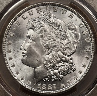 1887 Morgan dollar PCGS MS66 blast white gem DKRC's DOLLAR DEAL WEDNESDAY!!!