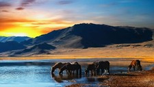 Landscape horse sunset mountains lake animals mammals Custom Gaming Mat Desk