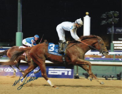 Drosselmeyer 2011 Breeders' Cup Classic 8'' x 10'' Photo Signed Mike Smith