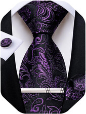 Paisley Ties for Men Silk Necktie and Pocket Square Cufflinks Tie Clip Set Woven
