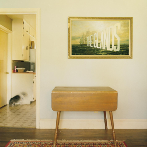 The Glands The Glands (Vinyl LP) Limited  12" Album Coloured Vinyl