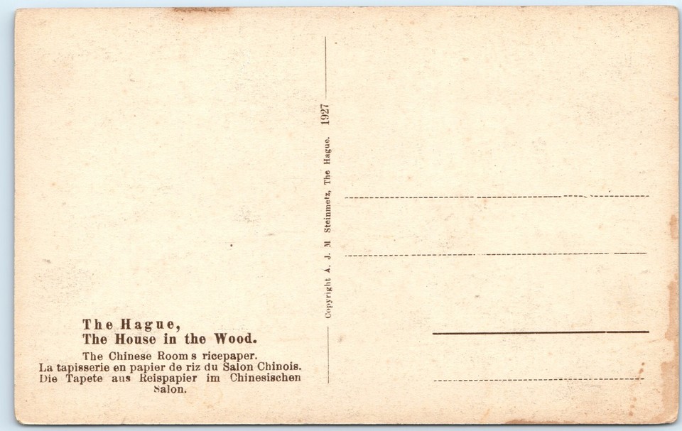 c1920s The Hague, Netherlands House in the Wood Chinese Room Tapestry