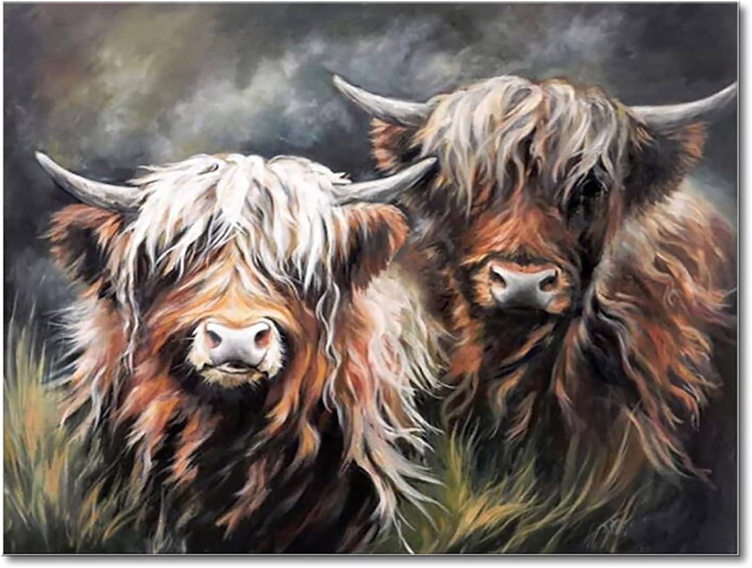 Shukqueen Highland Cow Paint by Numbers for Adults, Beginner, DIY Canvas Paintin