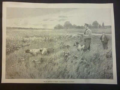 Orig. Holzstich: Auf der Hühnerjagd in England. Originalzeichnug von W. Arnold.