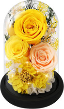 Preserved Roses Flowers for Delivery, Mothers Day Rose Gifts for Mom Her, Yel...