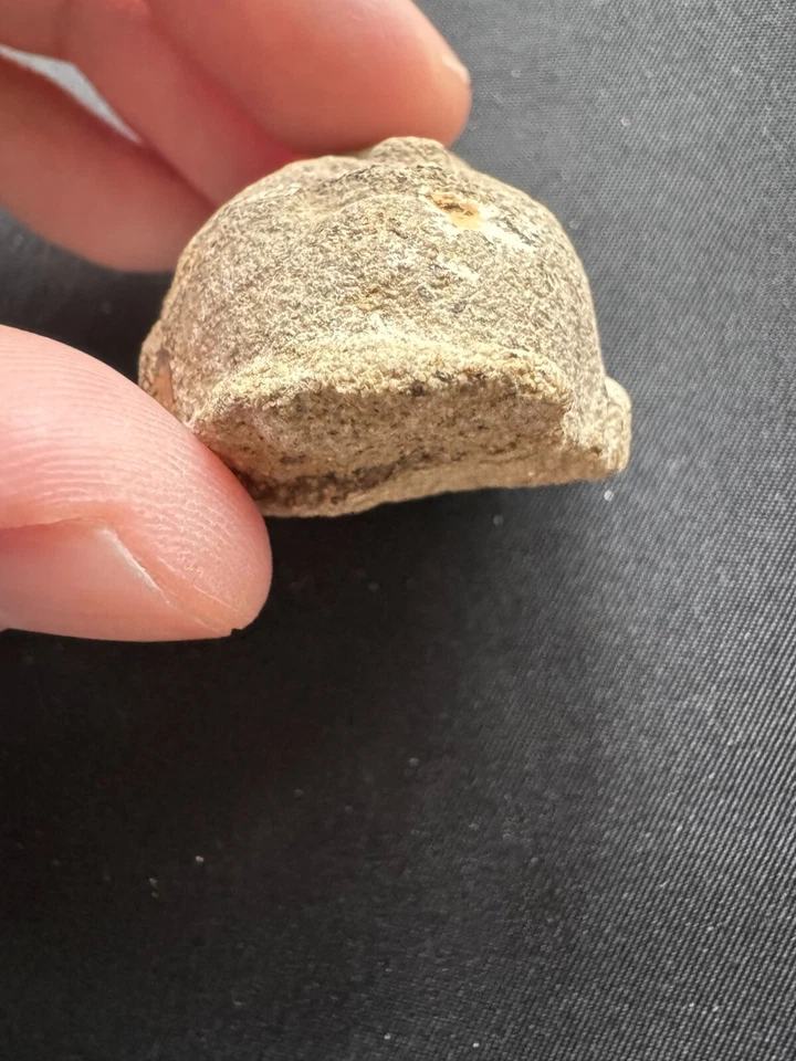 Миниатюрная голова Будды из песчаника династия Северная Вэй - династия Тан - Изображение 2 из 4