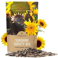 Bulk Sunflower Seeds - Variety Mix 10 Types of Beautiful Sunflowers - 1/4 Pou...