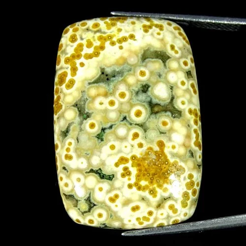 28.60Cts Natural Ocean Jasper Cabochon Loose Gemstone Pair 20x29x5mm Cushion