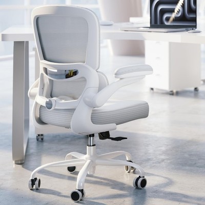 Ergonomic Office Chair - Desk Chair with Adjustable Lumbar Support Computer C...