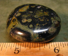 1.5inch 42g KAMBABA JASPER STROMATOLITE PALMSTONE MADAGASCAR #130 — photo 3