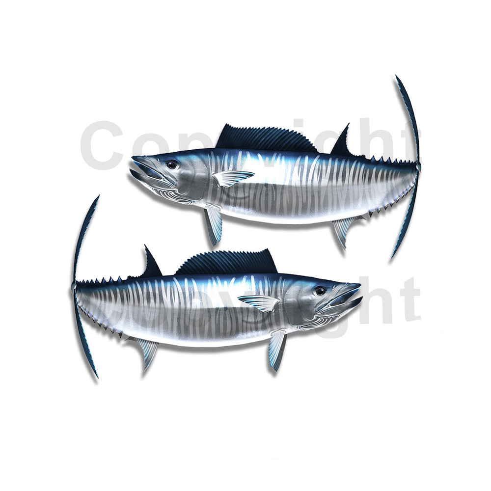 Wahoo Sticker Wahoo Sticker Decal Fishing RV Boat Car Truck Camper Trailer F101 2 ...
