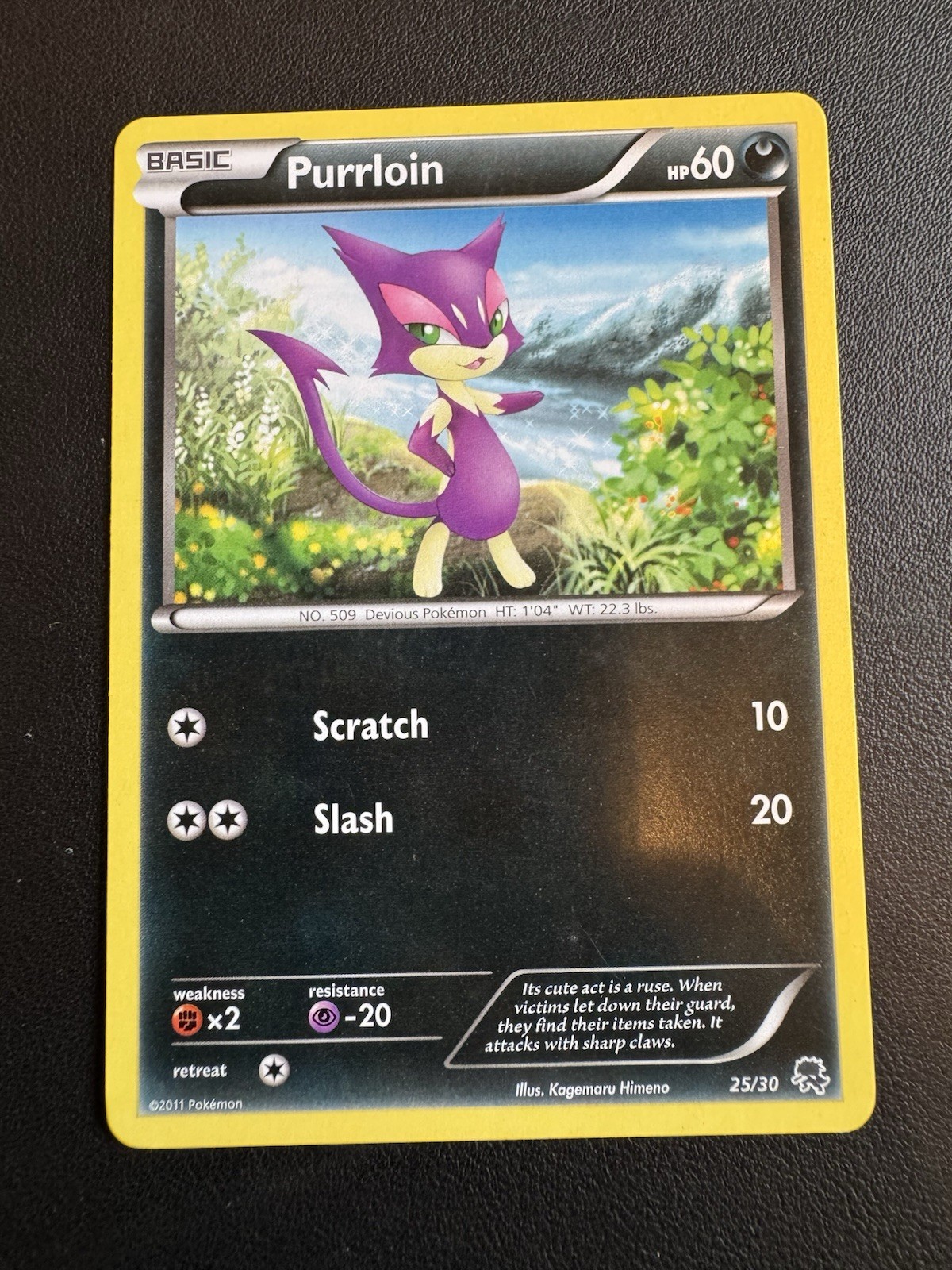 POKEMON TCG PURRLOIN 25/30 BW ZOROARK TRAINER KIT!!