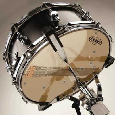 EVANS Hazy 300 10''