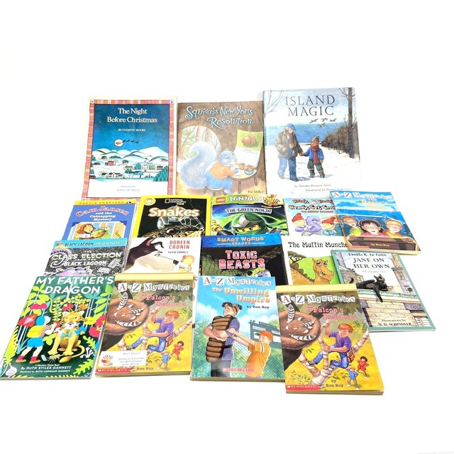 Mixed Lot of 17 Scholastic Guided Reading Level N Books