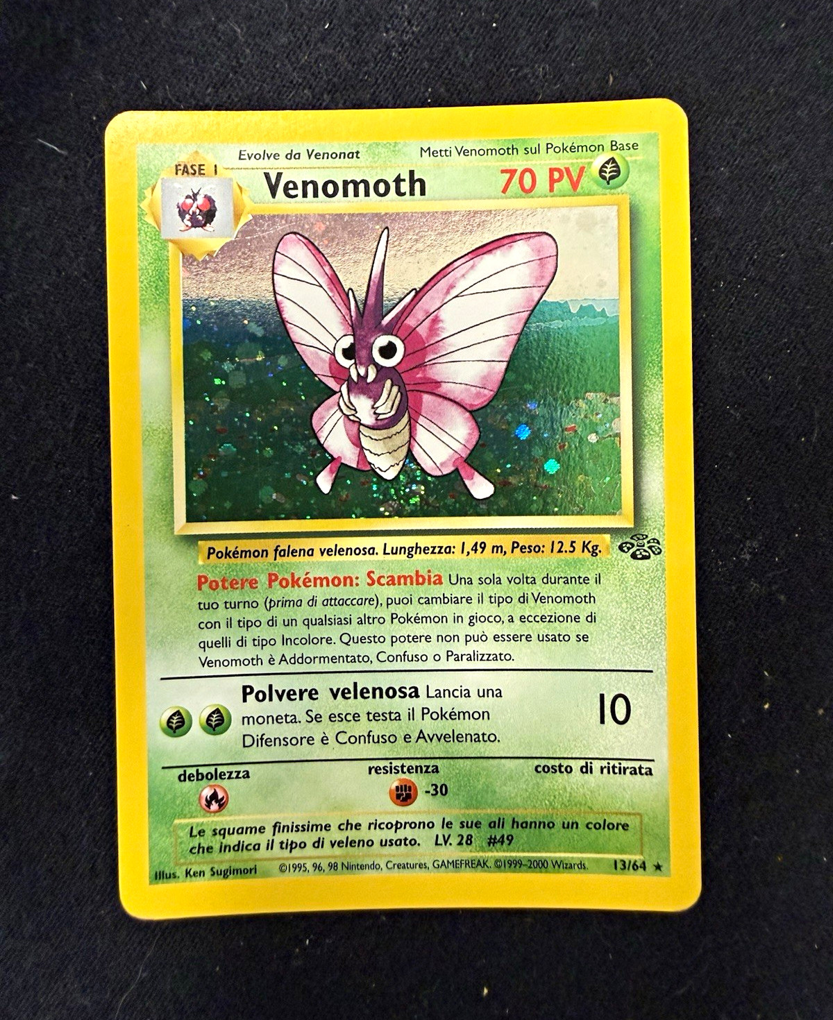 *d* Venomoth 13/64 Jungle Holo Rare 1st Edition 70 HP Italian Pokémon TCG