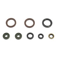 Serie Parolio Motor KTM EXC450-500 12-13 / Sx-F 450 2013 FüR KTM 450 Xc-F 13 4T
