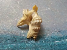 PELICAN'S FOOT 40,94 mm, sans o, de Grèce