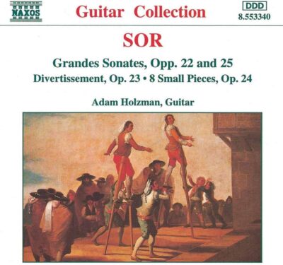 Sor - Gitarre funktioniert