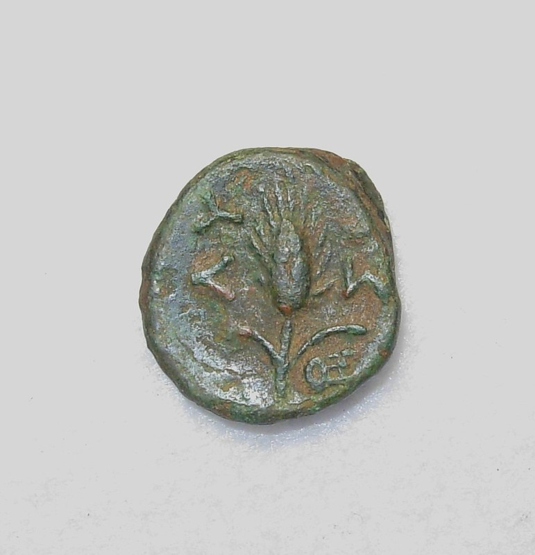 Thrace, Lysimacheia, AE 16, 225-198 BC,  Lion / Grain Ear , VF