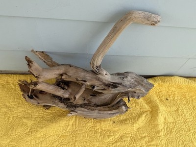 Natural Large Driftwood for Aquarium Decor Reptile Decor 22.5 Height, 18 Length