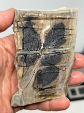 Picasso Marble (Jasper) Rough Slab Cabbing Lapidary Combo Ship Avail
