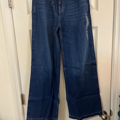 American Eagle Dreamy Drape Strigid Ultra Wide Leg Jeans 000 Low Rise NWT