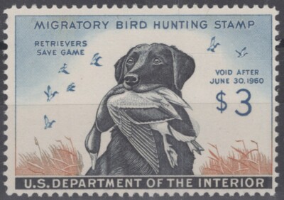 ザッキーページ s-l1200.png