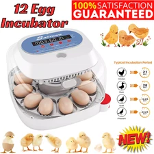 12 Egg Incubator for Hatching Eggs w/Automatic Egg Turning Temperature Control