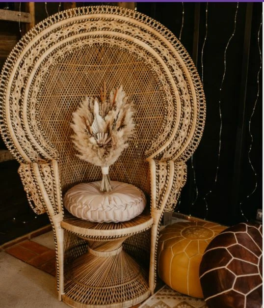 Ebay 2024 peacock chair
