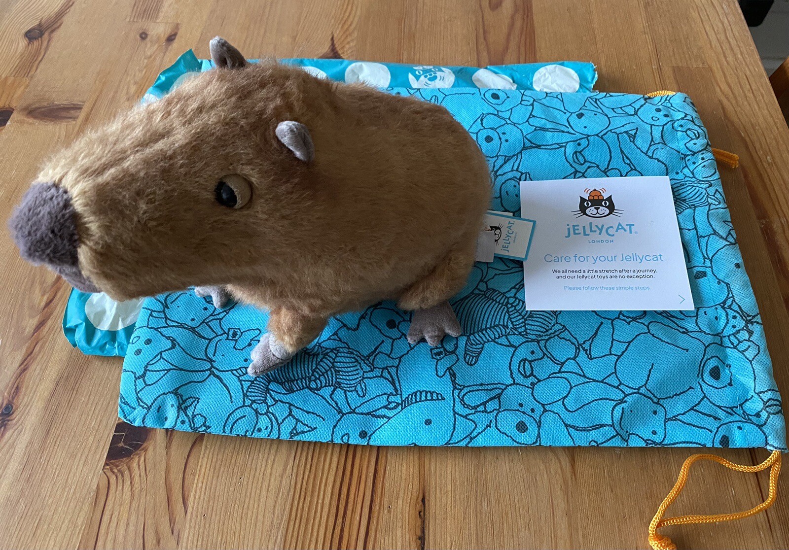 Jellycat Clyde Capybara BNWT, dust bag and care instructions included