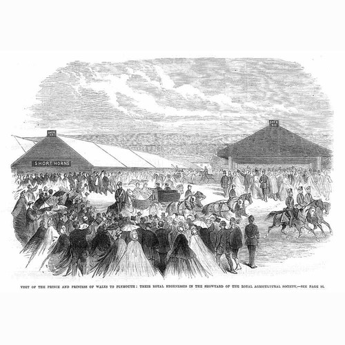 PLYMOUTH Prince of Wales at the Agricultural Show - Antique Print 1865