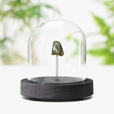 Sikhote-Alin Meteorit Glocke Glas Wohndeko Innenarchitektur Ornament Weltraum Meteor