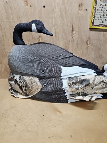 Canada Goose G&H Muschelköder 12 Stück Muscheln abnehmbare Kopfposen 3 neu nie benutzt - Bild 10 von 12